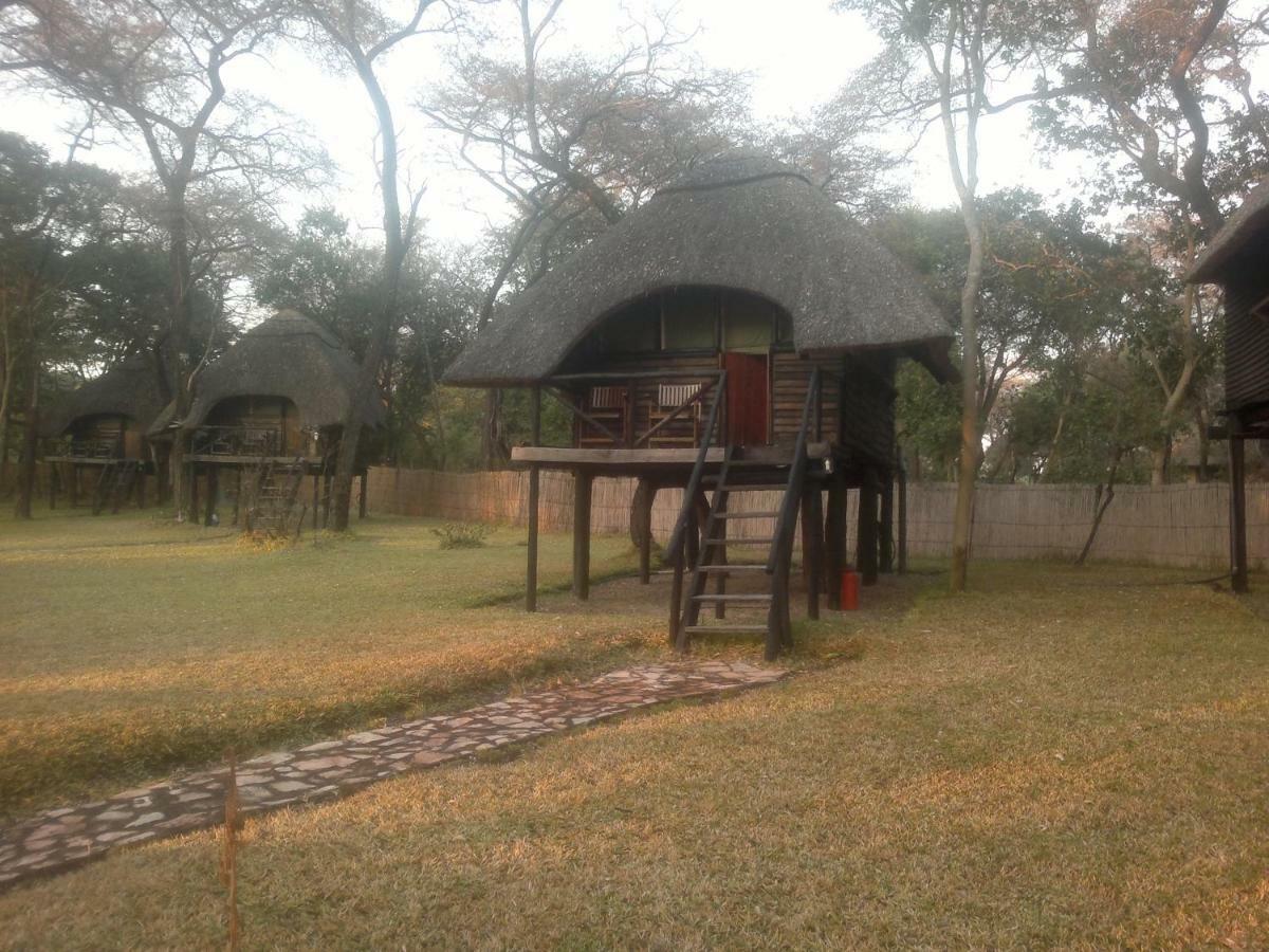 The Tree Lodge At Sikumi Dete Luaran gambar